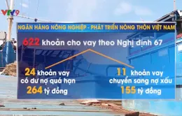 Tăng cường thu hồi nợ vay đóng mới, nâng cấp tàu cá