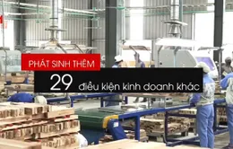 Chỉ 1/3 điều kiện kinh doanh được cắt giảm là thực chất