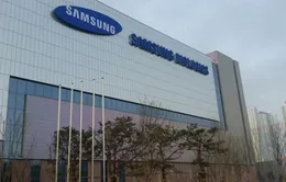 Samsung BioLogics bị ngừng giao dịch cổ phiếu do sai phạm