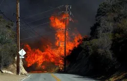 Hơn 1.000 người mất tích do cháy rừng tại California