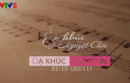 "Dạ khúc nguyệt cầm" mênh mang tình người lên sóng VTV8