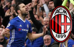 AC Milan vẫn chưa ngừng theo đuổi Cesc Fabregas