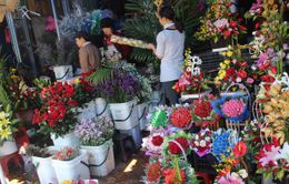 Đà Nẵng: Đa dạng thị trường hoa, quà tặng ngày 20/11