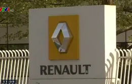 Hãng sản xuất ô tô Renault bổ nhiệm lãnh đạo mới