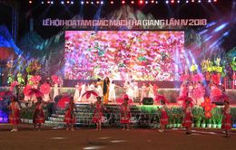 Khai mạc Lễ hội hoa Tam giác mạch 2018