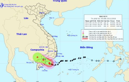 Xuất hiện đợt lũ trên sông ở nhiều khu vực do ảnh hưởng của bão số 9