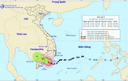 Ban Chỉ đạo Trung ương về Phòng chống thiên tai kiểm tra tình hình bão lụt ở Bình Thuận