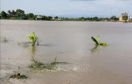 Huyện Bắc Bình, Bình Thuận vẫn ngập nặng do mưa lũ