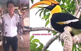 Doanh nhân bị "tố" ăn thịt chim Phượng hoàng đất