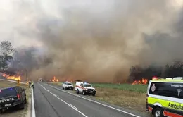 Australia: Hàng nghìn người sơ tán khẩn cấp do cháy rừng