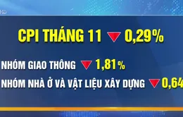 Chỉ số giá tiêu dùng tháng 11 giảm 0,29%