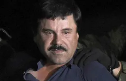 Con đường phạm tội của trùm ma túy El Chapo