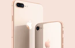 Vì sao người dùng nên mua iPhone 8 và 8 Plus bản tân trang?