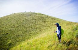 Những đồi cỏ xanh bạt ngàn trên cung đường trekking đẹp nhất Việt Nam