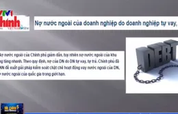 Nợ nước ngoài của doanh nghiệp có xu hướng tăng nhanh: Liệu có đáng lo?