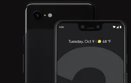 Google tung bản cập nhật bảo mật dành cho Pixel và Nexus