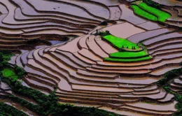 Lặng ngắm những tuyệt tác của thiên nhiên khó tin là có thật