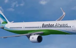 Thủ tướng đồng ý cấp phép bay cho Bamboo Airways