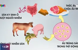 Nguy cơ nhiễm giun sán từ thói quen ăn đồ tươi sống