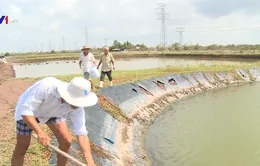 Nhiều chuyển biến tích cực trong thích ứng với biến đổi khí hậu ở ĐBSCL