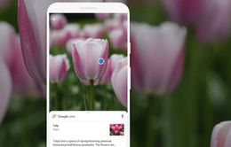 Google mang tính năng tìm kiếm thông tin qua camera lên iOS