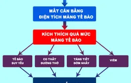 Việt Nam ứng dụng thành công sinh học phân tử trong điều trị hen suyễn, COPD