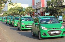 Taxi Hà Nội sẽ được phân vùng quản lý và có màu sơn chung