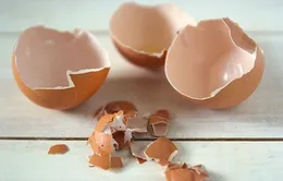 Ăn vỏ trứng: Tác dụng và tác hại cần lưu ý