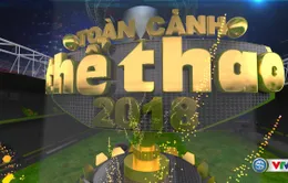 Chương trình thể thao đặc sắc Tết dương lịch 2019: "Toàn cảnh thể thao 2018"