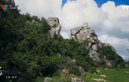 Độc đáo ngôi làng đá ở Phú Yên