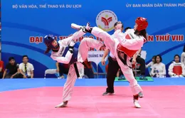 Môn Taekwondo Đại hội TTTQ 2018: TP.HCM chiếm ưu thế với 4 HCV