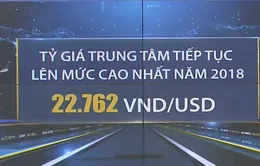 Tỷ giá trung tâm tiếp tục lên mức cao nhất năm 2018