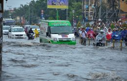 Vì sao dự án chống ngập tại TP.HCM không phát huy hiệu quả như mong muốn?