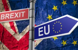 Anh đang thay đổi chiến lược phát triển hậu Brexit thế nào?