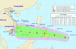 Áp thấp nhiệt đới mạnh lên thành bão Sanba gần biển Đông