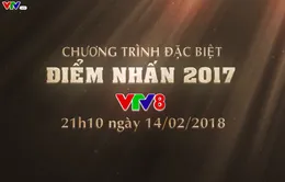 Chương trình đặc biệt Tết Mậu Tuất "Điểm nhấn 2017" (21h10 ngày 14/2 - 29 Tết, VTV8)