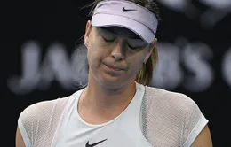 Maria Sharapova cay đắng dừng bước ngay vòng đầu tiên tại Qatar Open 2018