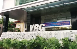 IPO Tập đoàn Công nghiệp Cao su Việt Nam (VRG): Giá khởi điểm 13.000 đồng/cổ phần