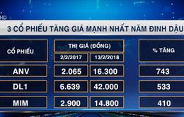 Đâu là các cổ phiếu "hợp mệnh" nhất trong năm Đinh Dậu?