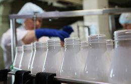 Nga cấm nhập khẩu sữa từ Belarus