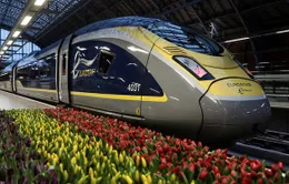 Eurostar triển khai tuyến đường sắt London - Amsterdam