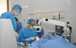 Việt Nam: Chỉ 50% người bệnh có nhu cầu được ghép giác mạc