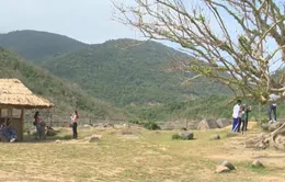 Phú Yên: Nông trại "B and U farm" gây sốt mạng xã hội