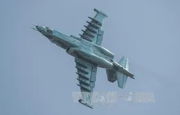 Nga tiêu diệt hàng chục phiến quân sau khi máy bay Su-25 bị bắn rơi