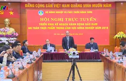 Triển khai kế hoạch hành động bảo đảm an toàn thực phẩm trong lĩnh vực nông nghiệp năm 2018