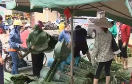 Nhộn nhịp chợ lá rong TP.HCM