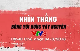 Nhìn thẳng: "Bóng tối rừng Tây Nguyên" (18h40 Chủ Nhật, 04/3 trên VTV8)