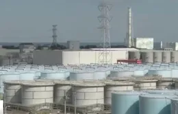 Nhật Bản: Người dân Fukushima vẫn sống với nỗi lo nước nhiễm xạ 7 năm sau thảm họa
