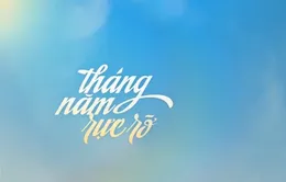 Công thức để có một phim remake thành công
