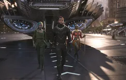 Black Panther đã “xô đổ” những khuôn mẫu về dòng phim siêu anh hùng Marvel như thế nào?